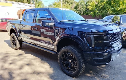FORD F-150 SHELBY — полосы