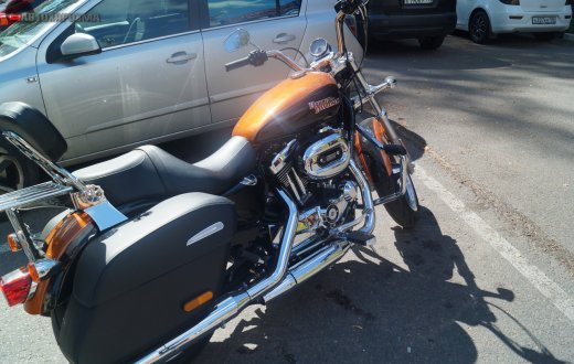 HARLEY DAVIDSON
